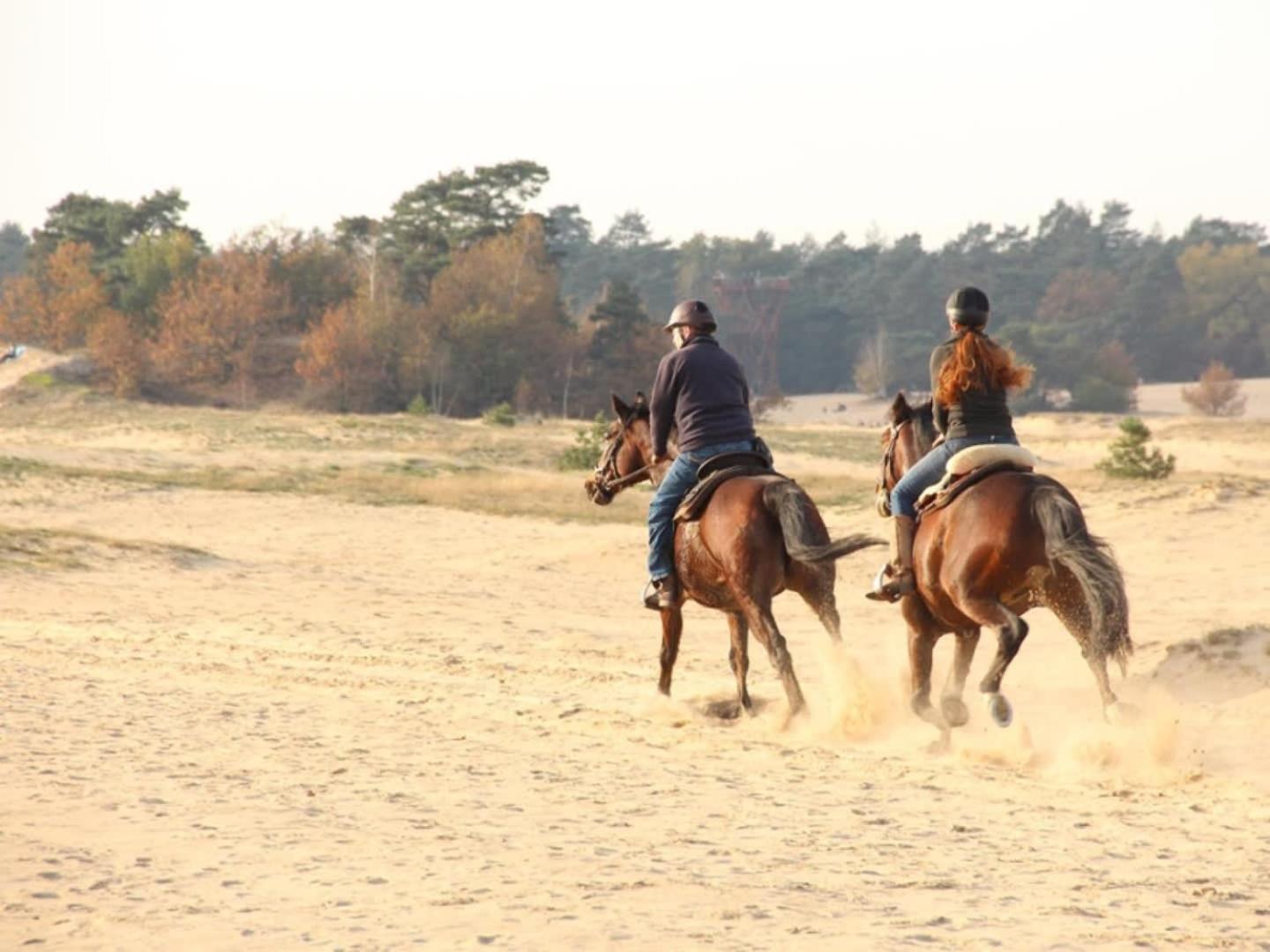 Vakantiehuis Op Rustig Bospark Veluwe Voorthuizen Exterior foto